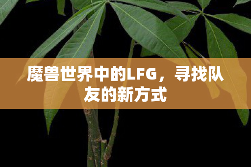 魔兽世界中的LFG图片