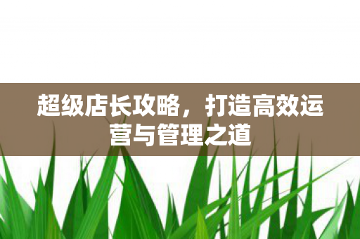 打造高效运营与管理之道图片