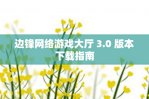 边锋网络游戏大厅 3图片