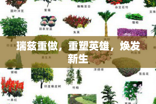 瑞兹重做图片