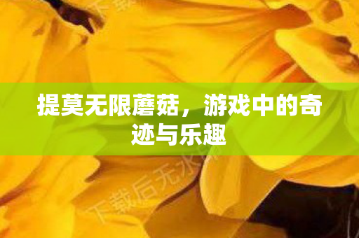 游戏中的奇迹与乐趣图片