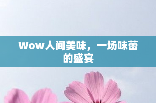 Wow人间美味图片