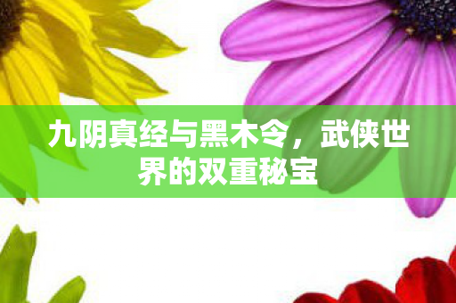 武侠世界的双重秘宝图片