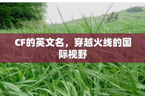 穿越火线的国际视野图片