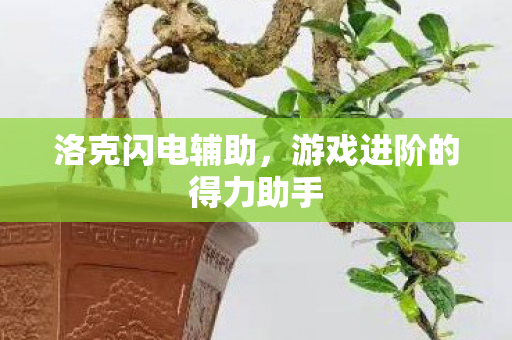 游戏进阶的得力助手图片