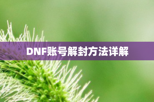 DNF账号解封方法详解图片