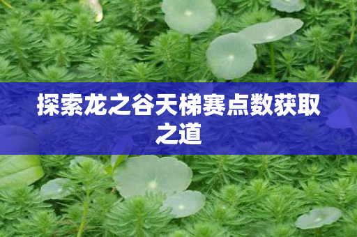 探索龙之谷天梯赛点数获取之道图片