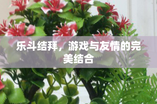 游戏与友情的完美结合图片
