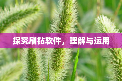 探究刷钻软件图片