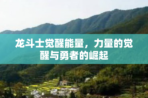 力量的觉醒与勇者的崛起图片