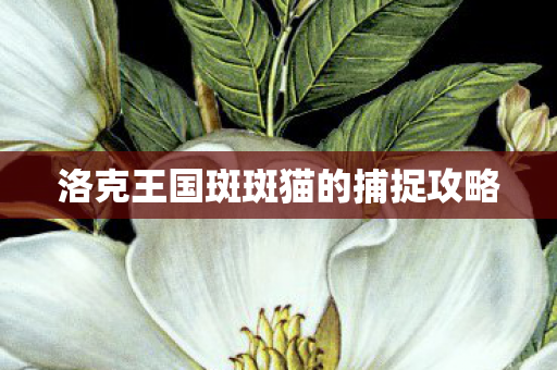 洛克王国斑斑猫的捕捉攻略图片