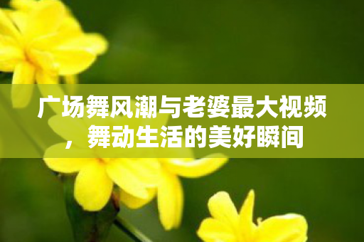 广场舞风潮与老婆最大视频图片