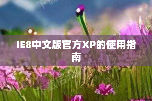 IE8中文版官方XP的使用指南图片