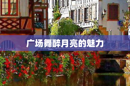 广场舞醉月亮的魅力图片