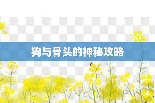 狗与骨头的神秘攻略图片