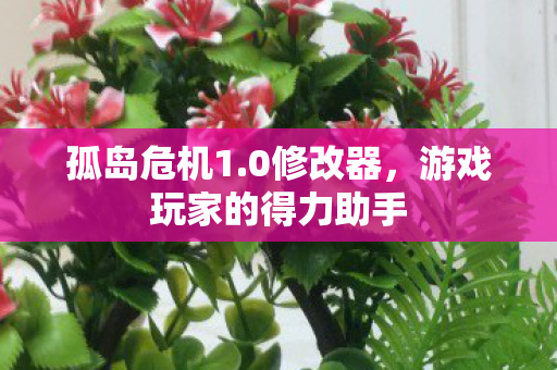 游戏玩家的得力助手图片