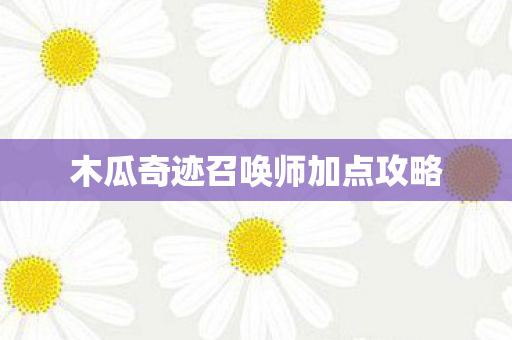 木瓜奇迹召唤师加点攻略图片