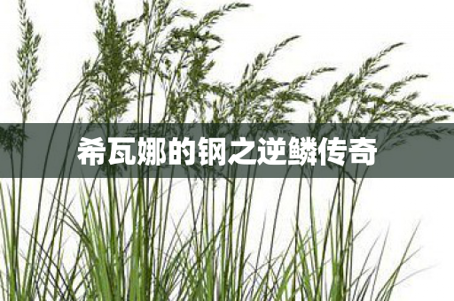 希瓦娜的钢之逆鳞传奇图片