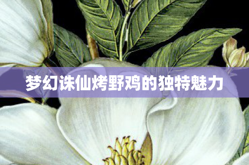 梦幻诛仙烤野鸡的独特魅力图片