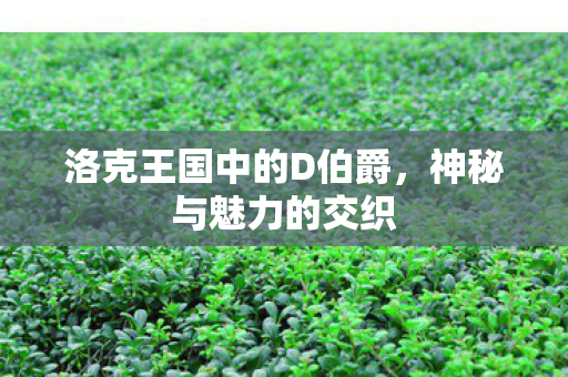 洛克王国中的D伯爵图片