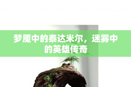梦魇中的泰达米尔图片