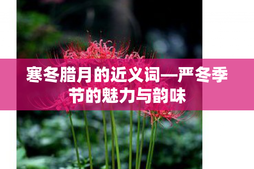 严冬季节的魅力与韵味图片