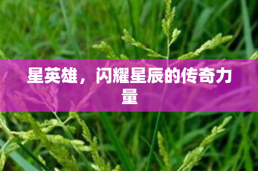 闪耀星辰的传奇力量图片