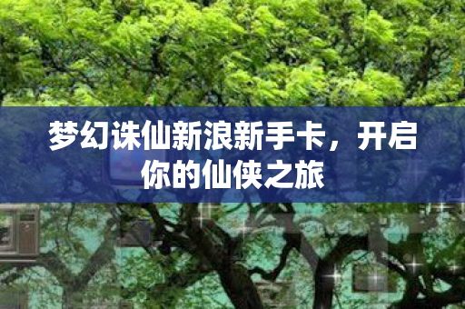 梦幻诛仙新浪新手卡图片