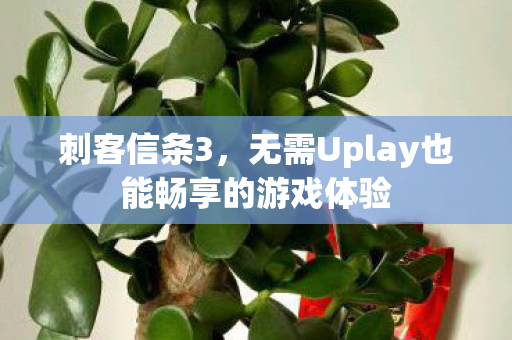 无需Uplay也能畅享的游戏体验图片