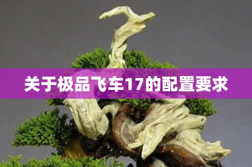 关于极品飞车17的配置要求图片