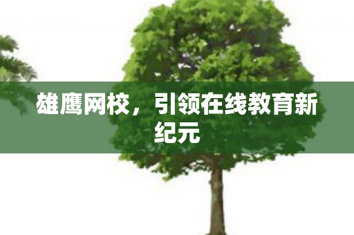 引领在线教育新纪元图片