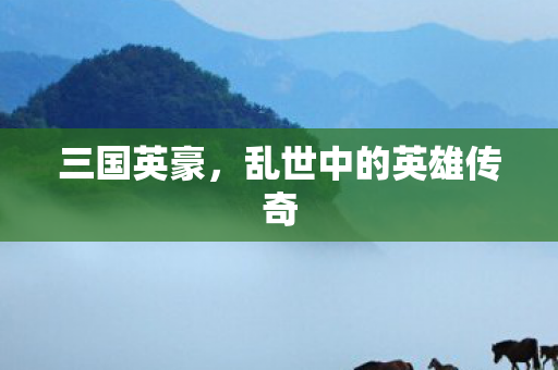 乱世中的英雄传奇图片