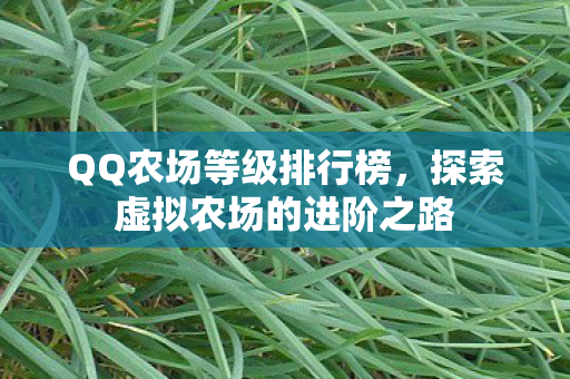 探索虚拟农场的进阶之路图片