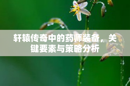 轩辕传奇中的药师装备图片