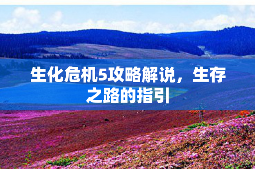 生化危机5攻略解说图片