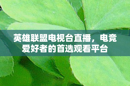 电竞爱好者的首选观看平台图片