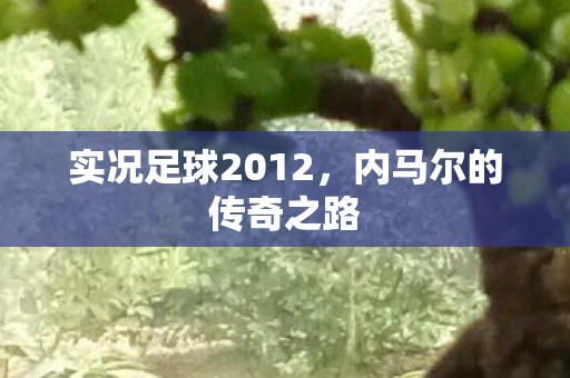 实况足球2012图片