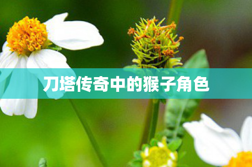 刀塔传奇中的猴子角色图片
