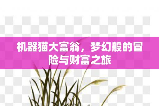 梦幻般的冒险与财富之旅图片