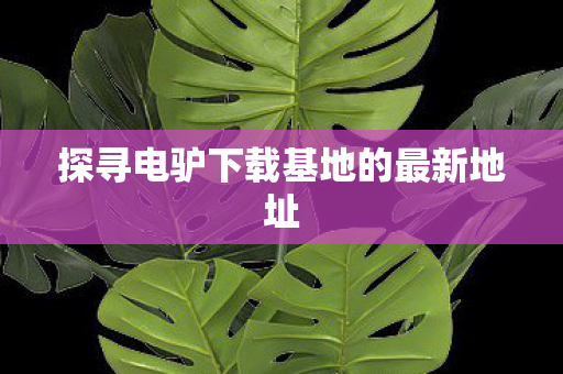 探寻电驴下载基地的最新地址图片