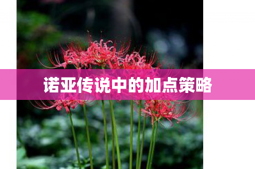 诺亚传说中的加点策略图片