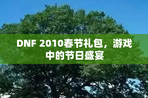 DNF 2010春节礼包图片