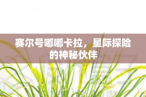 星际探险的神秘伙伴图片