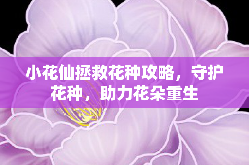小花仙拯救花种攻略图片