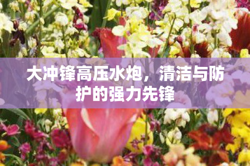 清洁与防护的强力先锋图片