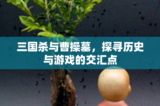 探寻历史与游戏的交汇点图片