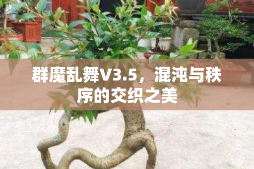 混沌与秩序的交织之美图片