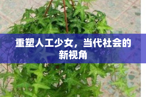 当代社会的新视角图片