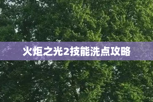 火炬之光2技能洗点攻略图片