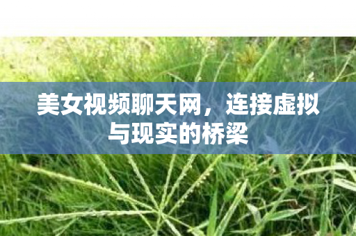 连接虚拟与现实的桥梁图片